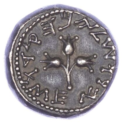 Judaea, First Revolt, Silver Shekel, Year 3