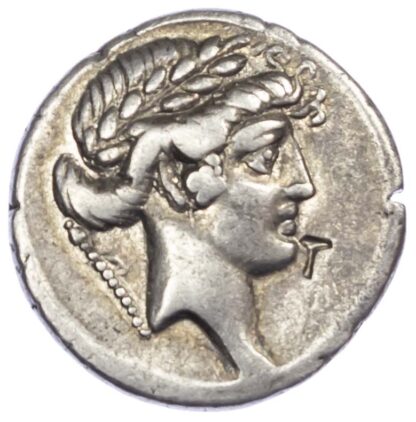 Q. Pomponius Musa, Silver Denarius