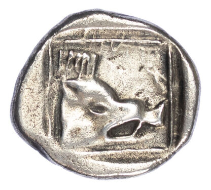 Crete, Lyttos, Silver Stater