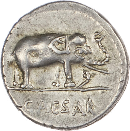 Julius Caesar, Silver Denarius