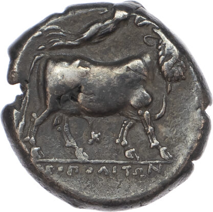 Neapolis, Silver Didrachm