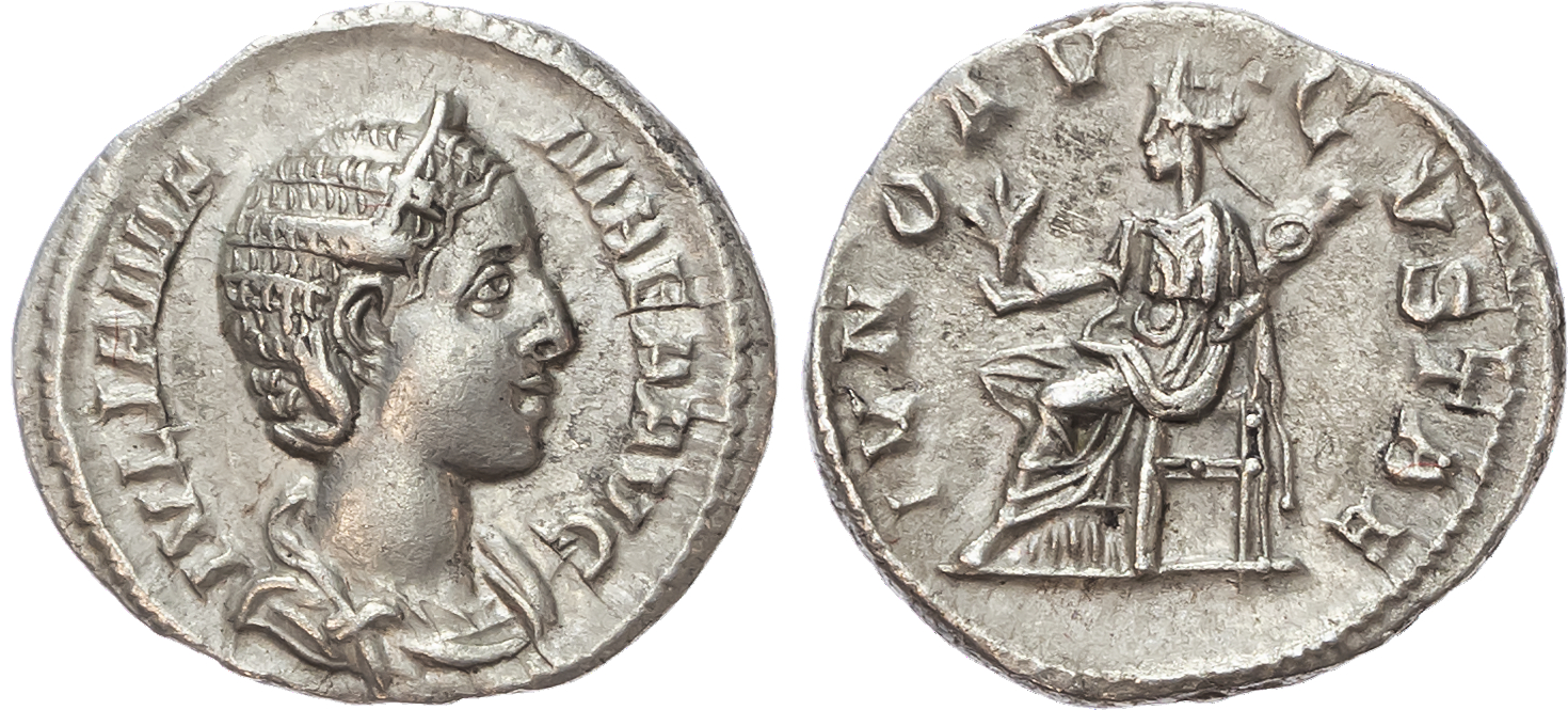 Julia Mamaea, Silver Denarius