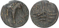 Judaea, Bar Kokhba War, Medium Bronze